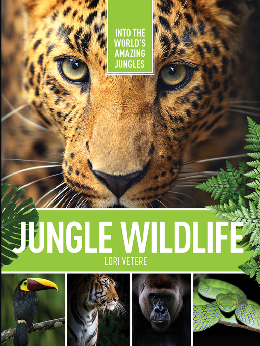 Cover of Jungle Wildlife